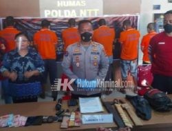 Komplotan Pencuri Sapi Digulung Polisi