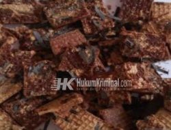 OTK Bagikan Wafer Bercampur Serpihan Benda Tajam kepada Anak-anak