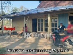 Alas Ngrandu Desa Suruh Kecamatan Dawar Blandong Mojokerto, Jadi Ajang Prostitusi