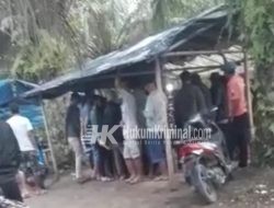 Perjudian 303 Sabung Ayam dan Judi Kodok-kodok Belum Tersentuh Hukum di Pangkalan Baru!!