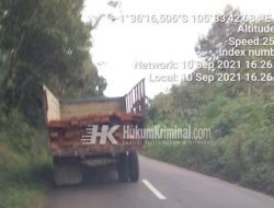 Mafia Kayu Illegal Logging Berkeliran di Parit Tiga