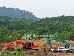 Tambang Ilegal Berskala Besar Beroperasi di Pangkalan Baru