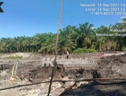 TI Ilegal di Desa Gunung Muda Parit 4 Belinyu Belum Disentuh APH