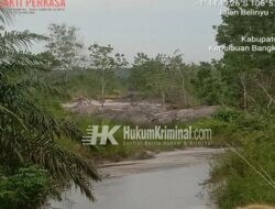 Pembiaran APH Tambang Ilegal di Jembatan Air Pelawan Riau Silip