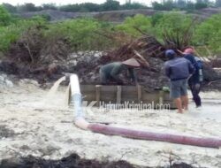 Parah!! Jual Beli Lahan Kawasan Hutan untuk Dikelola Pertambangan Ilegal