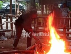 Arena Judi Sabung Ayam Gedongombo Ploso Dibakar Polisi