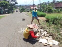 Warga Sumber Tengah Bergotong Royong Benahi Jalan Berlubang