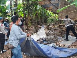 Terkait 303 Sabung Ayam di Banyuwangi, Kapolsek Rogojampi: Sudah Ditindaklanjuti