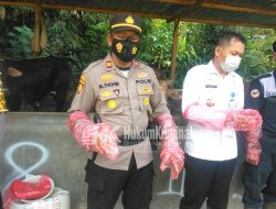 Gerak Cepat Forkopimcam bersama Mantri Hewan Terkait Wabah PMK
