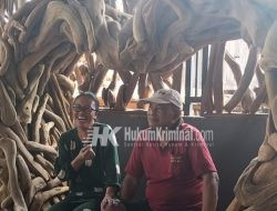 H Marijan Orang Pertama Perajin Akar Jati di Margomulyo Bojonegoro