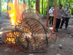 Kalangan Perjudian Sabung Ayam di Desa Sambirejo Diubrak-abrik Polisi