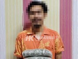 Bea Cukai Batam Gagalkan Pengiriman Dua Paket Ganja