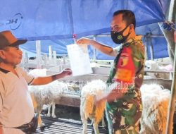 Babinsa Kodim Bojonegoro Cek Penjualan Hewan Qurban, Guna Pastikan Kesehatanya