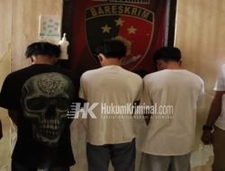 UPPA Satreskrim Polres Tanggamus Amankan Tiga Remaja Terlibat Pencabulan terhadap Anak di Bawah Umur