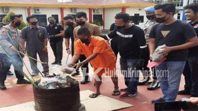 Polisi Musnahkan Belasan Kilogram Ganja