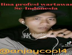 Diduga Hina Profesi Wartawan se-Indonesia Akun Tiktok @anjaycool4