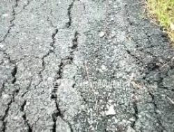 Diduga Tipisnya Aspal, Jalan Aspal BKKD 2021 Desa Panunggalan Sudah Rusak