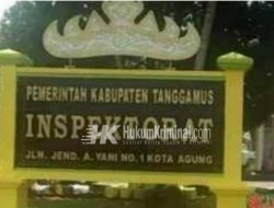 Disinyalir Hampir Enam Tahun Pekon Sinar Mulyo Belum Disentuh Auditor Inspektorat