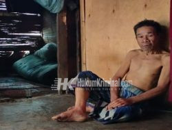 Yasma dan Kakak Kandungnya Butuh Uluran Tangan Dermawan dan Pemkab Tanggamus