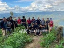 Polisi Gerebek Ladang Ganja Sekali Panen 55 Ton