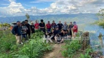 Polisi Gerebek Ladang Ganja Sekali Panen 55 Ton