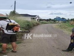 Anggota DPRD Kabupaten Tanggamus Irsi Jaya, Babat Rumput di Pinggir Jalan Raya