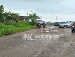 Parah Jalan Provinsi Terkesan Terabaikan