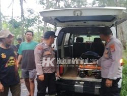 Polsek Pulau Panggung Identifikasi dan Evakuasi Korban Tertimpa Kayu yang Diangkut Motor