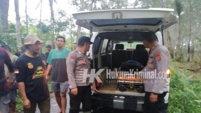 Polsek Pulau Panggung Identifikasi dan Evakuasi Korban Tertimpa Kayu yang Diangkut Motor