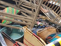 Kalangan 303 Perjudian Sabung Ayam di Grebek Polisi Probolinggo
