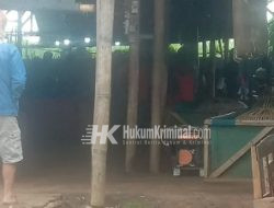 Judi Ayam & CapJiki di Pasar Dengkol Praktek Saat Berlangsungnya Bulan Suci Ramadhan