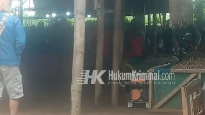 Judi Ayam & CapJiki di Pasar Dengkol Praktek Saat Berlangsungnya Bulan Suci Ramadhan