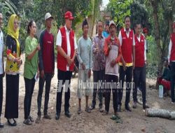 Ketua PMI Lamtim Azwar Hadi Tinjau Rumah Warga Tertimpa Pohon Besar