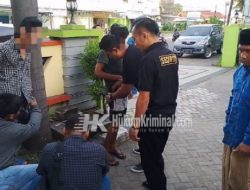 Pelaku Narkoba di Lombok Tengah, Disikat Polisi