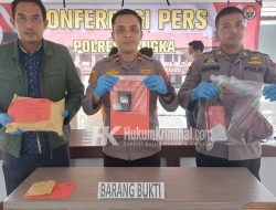 Dua Pelaku Pengedar Narkoba Dibekuk Tim Kibas Satnarkoba Polres Bangka