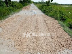 Baru Satu Minggu Dikerjakan, Rigid Beton di Desa Kedungprimpen Kanor Retak Retak.