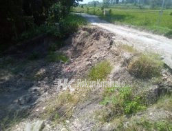 Kades Kaliombo, Berharap Pemkab Bojonegoro Realisasikan TPT Permanen, Jalan Yang Longsor Di Desanya