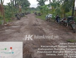 Sungguh Menantang dan Tidak Ada Takutnya, Aris Diduga buka Tambang di Lokasi Hutan Produksi Air Sabek, Diduga Ada Oknum yang Terlibat