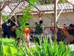 Kompak, Babinsa Sumberrejo Bojonegoro bersama Mahasiswa KKN bantu Perbaiki Rumah Warga