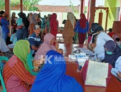 Posyandu Lansia dan Posyandu Balita Desa Gamongan Rutin Dilakukan Tiap Bulan