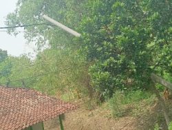 Hampir Menimpa Rumah warga Tiang Listrik, PLN Bojonegoro Di Lapori Tidak Merespon