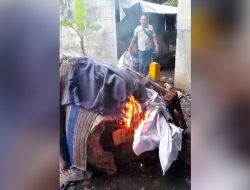 303 Perjudian Sabung Ayam di Bawah Jembatan Layang Trosobo – Sidoarjo Dibumi Hanguskan Polisi