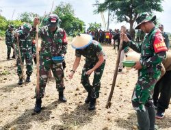 Gelar Pembinaan Ketahanan Pangan Terpadu, Kodim Bojonegoro Tanam Perdana Jagung