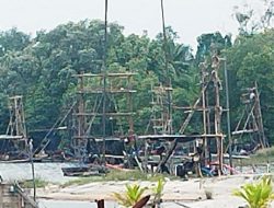 Ekosistem Kolong Buntu Sungailiat Terancam Akibat Penambangan Timah Ilegal