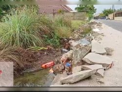 Proyek Pengerasan Bahu Jalan Panji Baru diduga Dikerjakan Asal-asalan “Dinas PUPR Kab.Bangka Perintahkan Dibongkar