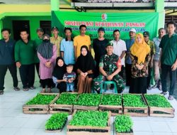 Pemdes Tulungrejo bersama Babinsa Koramil Sumberrejo Bojonegoro Sosialisasikan Gerakan Tanam Cabai