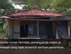 Miris, janda miskin di Pamekasan Tak Tersentuh bantuan Pemerintah