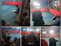 Kalangan Perjudian 303 Sabung Ayam di Tanjungsari Kecamatan Wuluhan Belum tersentuh Polres Jember, Polda Jatim, Mabes Polri
