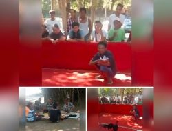 Diduga Oknum Kades Jogjati, Kecamatan Lekok, Pasuruan memback Up Perjudian 303 Jenis Sabung Ayam