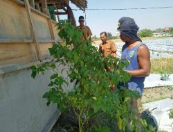 Manfaat Program Ketahanan Pangan, Dirasakan Masyarakat Desa Ngasem